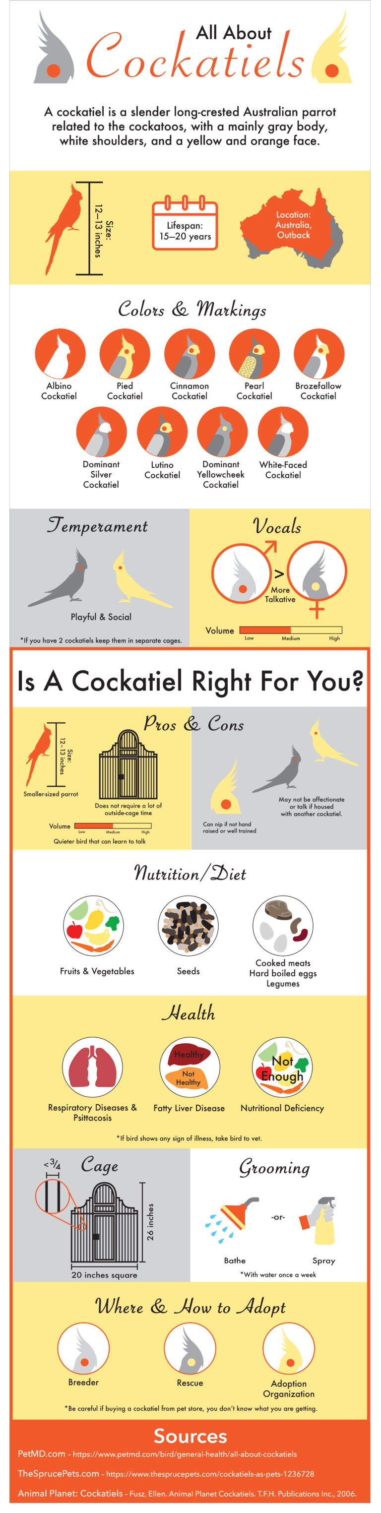 "All About Cockatiels" Infographic Previous Version