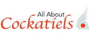 "All About Cockatiels" Logo